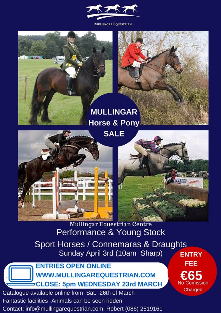 Mullingar Horse & Pony Sale 3 April 2016