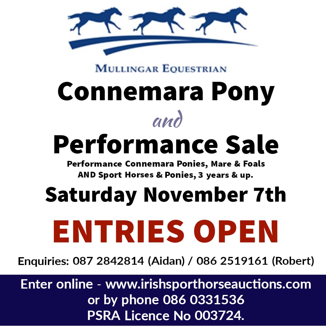 Performance Horse & Pony Sale - Mullingar Equestrian